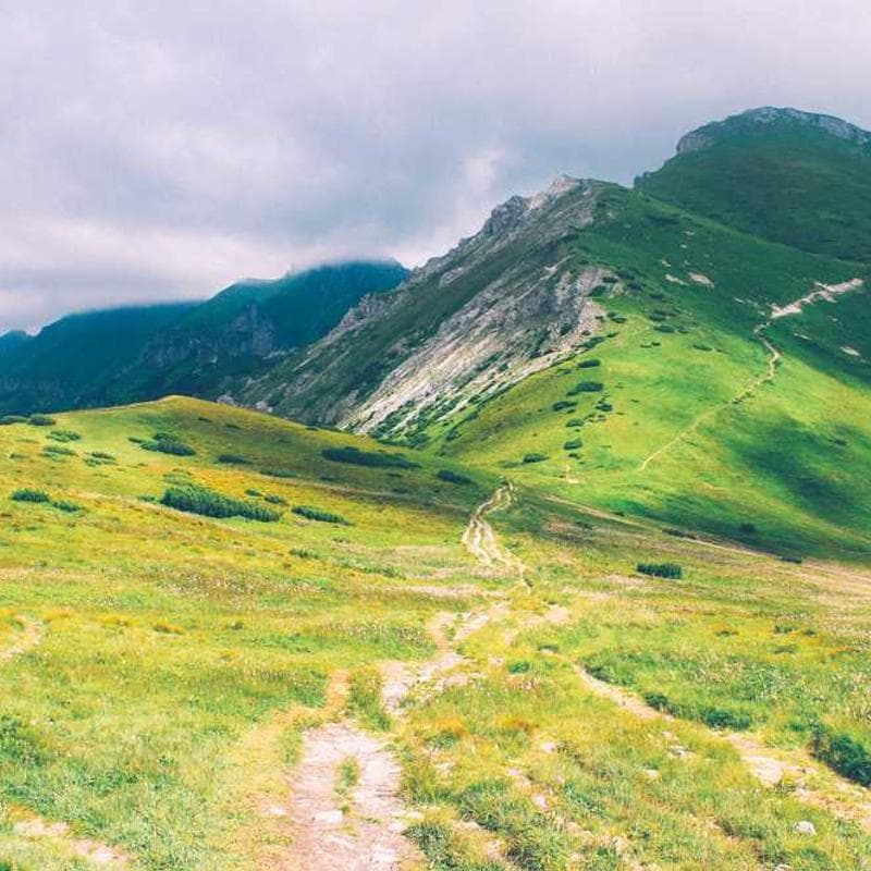 Augustine Farley, Founder